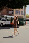 SMR0131-BROWN