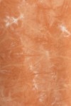 TR2839-ORANGE