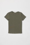 TR3565-OLIVE