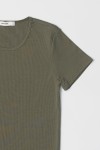 TR3565-OLIVE