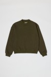 TR3647-OLIVE