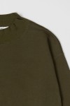 TR3647-OLIVE
