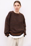 TR3800.-NAVY/BROWN